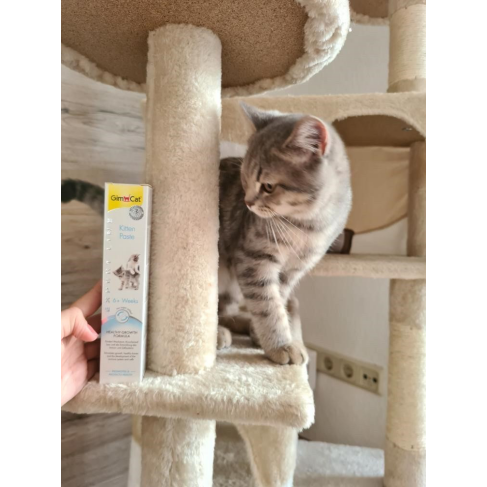 Витаминизированная паста GimCat Expert Line Kitten для котят, 50 г - фото 3