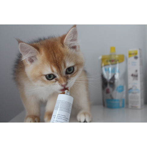 Витаминизированная паста GimCat Expert Line Kitten для котят, 50 г - фото 4