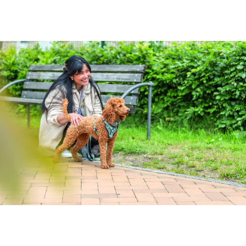 Шлея Trixie CityStyle H-harness для собак хлопок L&ndash;XL 75&ndash;120 см 25 мм светло-зеленый - фото 4
