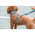 Шлея Trixie CityStyle H-harness для собак хлопок L&ndash;XL 75&ndash;120 см 25 мм светло-зеленый - фото 3