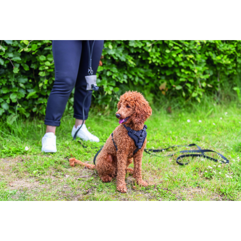 Шлея Trixie CityStyle H-harness для собак хлопок L&ndash;XL 75&ndash;120 см 25 мм черный - фото 4