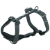 Шлея Trixie CityStyle H-harness для собак хлопок L&ndash;XL 75&ndash;120 см 25 мм черный - фото 1