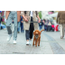Шлея Trixie CityStyle H-harness для собак хлопок L&ndash;XL 75&ndash;120 см 25 мм светло-серый - фото 3