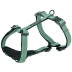 Шлея Trixie CityStyle H-harness для собак бавовна XS&ndash;S 30&ndash;44 см 10 мм світло-зелена - фото 1