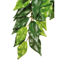 Растение Exo Terra Ficus для террариума, среднее 40 см