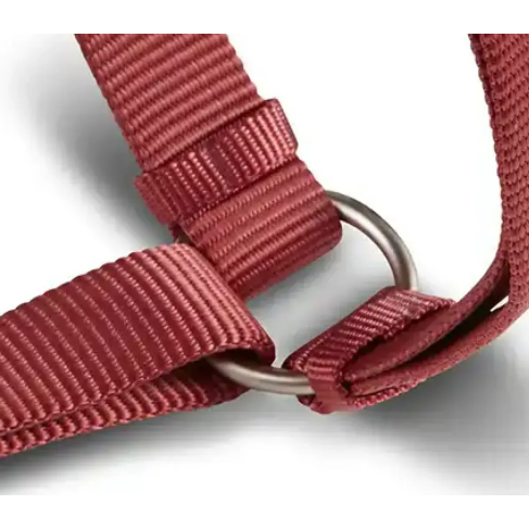 Анатомічна шлейка для собак Wolters Professional XL 65-100 см / 25 мм Бордовий - фото 2