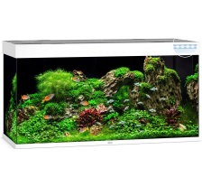 Аквариум Juwel прямой Rio 350 LED, 121х66х51 см, 350 л