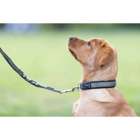 Нашийник для собак пом'якшений Wolters Professional Comfort 10 60-70 см / 45 мм Оливковий - фото 4 Нашийник для собак пом'якшений Wolters Professional Comfort 10 60-70 см / 45 мм Оливковий - фото 4