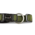 Ошейник для собак смягченный Wolters Professional Comfort 1 25-30 см / 25 мм Оливковый - фото 3