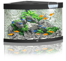 Аквариум Juwel угловой Trigon 190 LED черный, 99х60х70 см, 190 л
