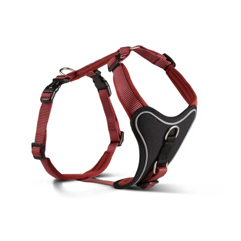 Шлейка для собак смягченная Wolters Professional Comfort 2A 45-50 см / 25 мм Бордовый - фото 1