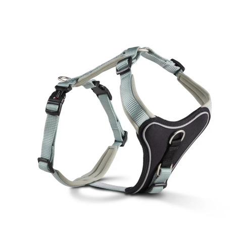 Шлейка для собак смягченная Wolters Professional Comfort 2A 45-50 см / 25 мм Зеленый - фото 1