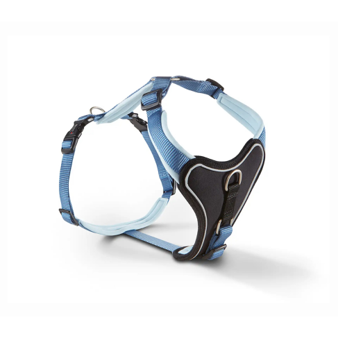 Шлейка для собак смягченная Wolters Professional Comfort 1 35-40 см / 25 мм Синий - фото 1
