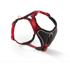 Шлейка для собак пом'якшена Wolters Professional Comfort 2A 45-50 см / 25 мм Червоний Шлейка для собак пом'якшена Wolters Professional Comfort 2A 45-50 см / 25 мм Червоний