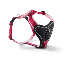 Шлейка для собак пом'якшена Wolters Professional Comfort 2 40-45 см / 25 мм Малиновий