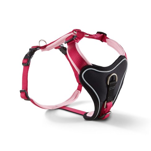 Шлейка для собак смягченная Wolters Professional Comfort 2A 45-50 см / 25 мм Малиновый - фото 1
