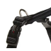Шлейка для собак пом&#039;якшена Wolters Professional Comfort 3 50-60 см / 30 мм Чорний - фото 5