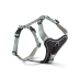 Шлейка для собак смягченная Wolters Professional Comfort 7 90-110 см / 35 мм Зеленый - фото 1