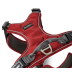 Шлейка для собак смягченная с ручкой Wolters Active Pro Comfort 3 50-57,5 см Красный - фото 3