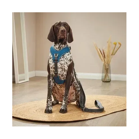 Шлейка для собак пом&#039;якшена з ручкою Wolters Active Pro Comfort 2 45-52,5 см Синій - фото 5