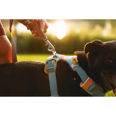 Повсякденний нашийник для собак Ruffwear Front Range™ 51-66 см Оранжево-сірий - фото 7 Повсякденний нашийник для собак Ruffwear Front Range™ 51-66 см Оранжево-сірий - фото 7