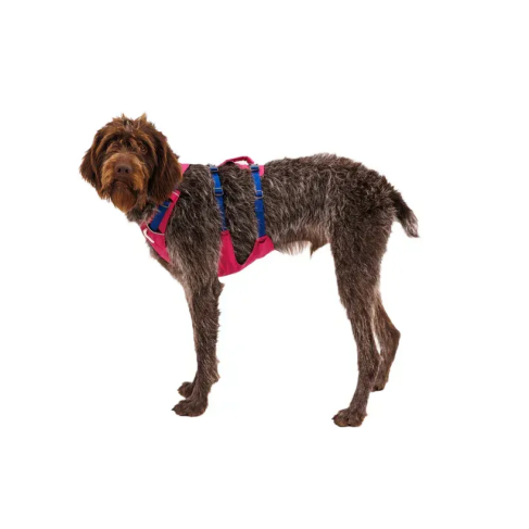 Легка шлейка для собак Ruffwear Flagline&trade; XS 43-56 см Малиновий - фото 7