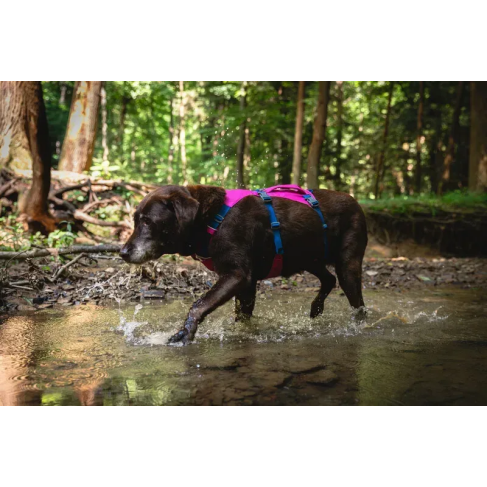 Легка шлейка для собак Ruffwear Flagline&trade; XS 43-56 см Малиновий - фото 11