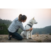 Повседневная шлейка для собак Ruffwear Front Range&reg; XXS 33-43 см Серый - фото 13