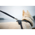 Повседневная шлейка для собак Ruffwear Front Range&reg; XXS 33-43 см Серый - фото 10