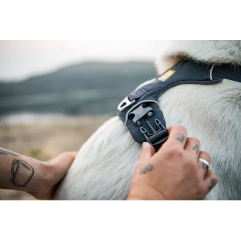 Повсякденна шлейка для собак Ruffwear Front Range&reg; L/XL 81-107 см Сірий - фото 16