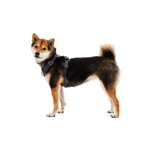 Повсякденна шлейка для собак Ruffwear Front Range&reg; L/XL 81-107 см Сірий - фото 4