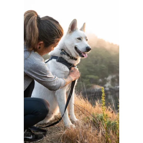 Повсякденна шлейка для собак Ruffwear Front Range&reg; L/XL 81-107 см Сірий - фото 13
