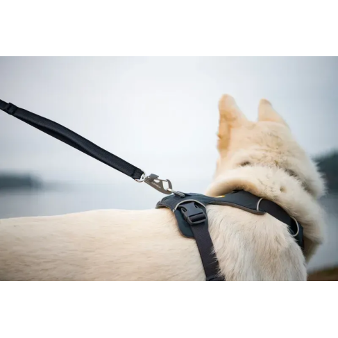 Повсякденна шлейка для собак Ruffwear Front Range&reg; L/XL 81-107 см Сірий - фото 14