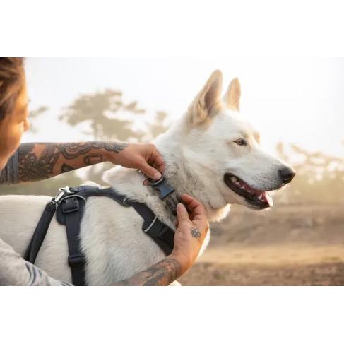 Повсякденна шлейка для собак Ruffwear Front Range&reg; L/XL 81-107 см Сірий - фото 9