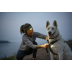 Повсякденна шлейка для собак Ruffwear Front Range&reg; L/XL 81-107 см Сірий - фото 15