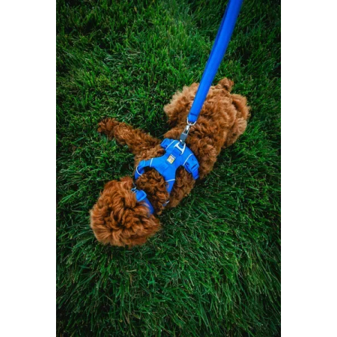 Повседневная шлейка для собак Ruffwear Front Range&reg; M 69-81 см Синий - фото 11