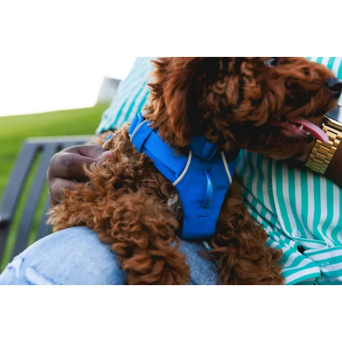 Повсякденна шлейка для собак Ruffwear Front Range&reg; L/XL 81-107 см Синій - фото 17