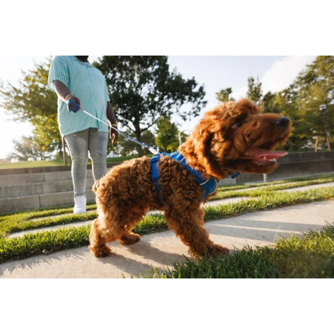 Повсякденна шлейка для собак Ruffwear Front Range&reg; L/XL 81-107 см Синій - фото 13