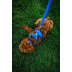 Повсякденна шлейка для собак Ruffwear Front Range&reg; L/XL 81-107 см Синій - фото 11