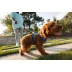 Повсякденна шлейка для собак Ruffwear Front Range&reg; L/XL 81-107 см Синій - фото 13