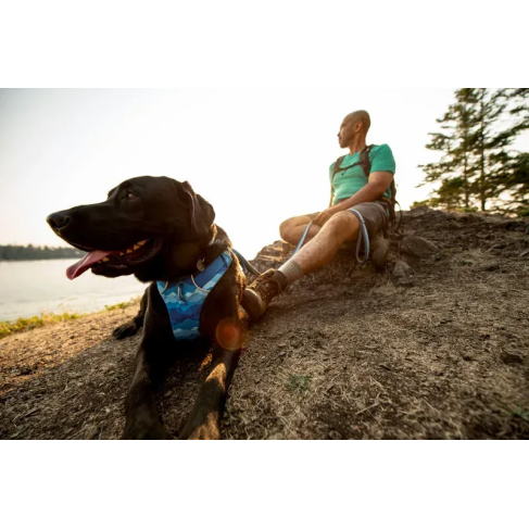Повсякденна шлейка для собак Ruffwear Front Range&reg; L/XL 81-107 см Синьо-блакитний - фото 13