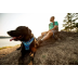 Повсякденна шлейка для собак Ruffwear Front Range&reg; L/XL 81-107 см Синьо-блакитний - фото 13