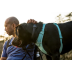 Повседневная шлейка для собак Ruffwear Front Range&reg; XXS 33-43 см Зеленый - фото 11