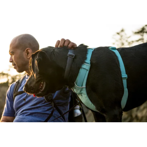 Повседневная шлейка для собак Ruffwear Front Range&reg; S 56-69 см Зеленый - фото 11