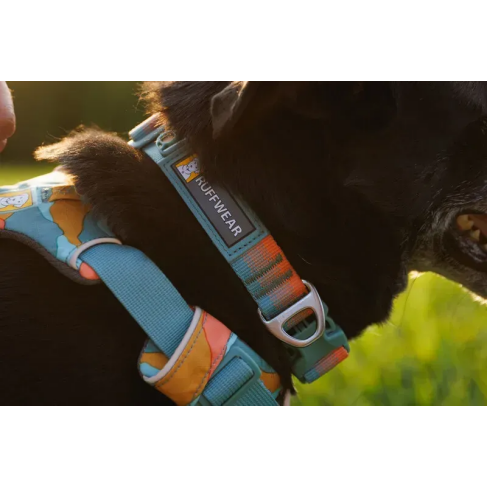Повсякденна шлейка для собак Ruffwear Front Range XXS 33-43 см Бірюзово-оранжевий - фото 9