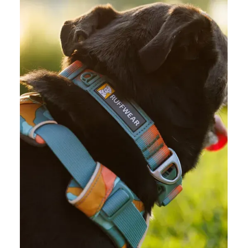 Повсякденна шлейка для собак Ruffwear Front Range S 56-69 см Бірюзово-оранжевий - фото 12