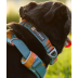 Повсякденна шлейка для собак Ruffwear Front Range S 56-69 см Бірюзово-оранжевий - фото 12
