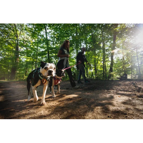 Облегченная шлейка для собак Ruffwear Hi &amp; Light&trade; L/XL 81-107 см Малиновый - фото 13