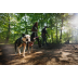 Облегченная шлейка для собак Ruffwear Hi &amp; Light&trade; L/XL 81-107 см Малиновый - фото 13
