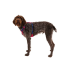 Облегченная шлейка для собак Ruffwear Hi &amp; Light&trade; L/XL 81-107 см Малиновый - фото 7